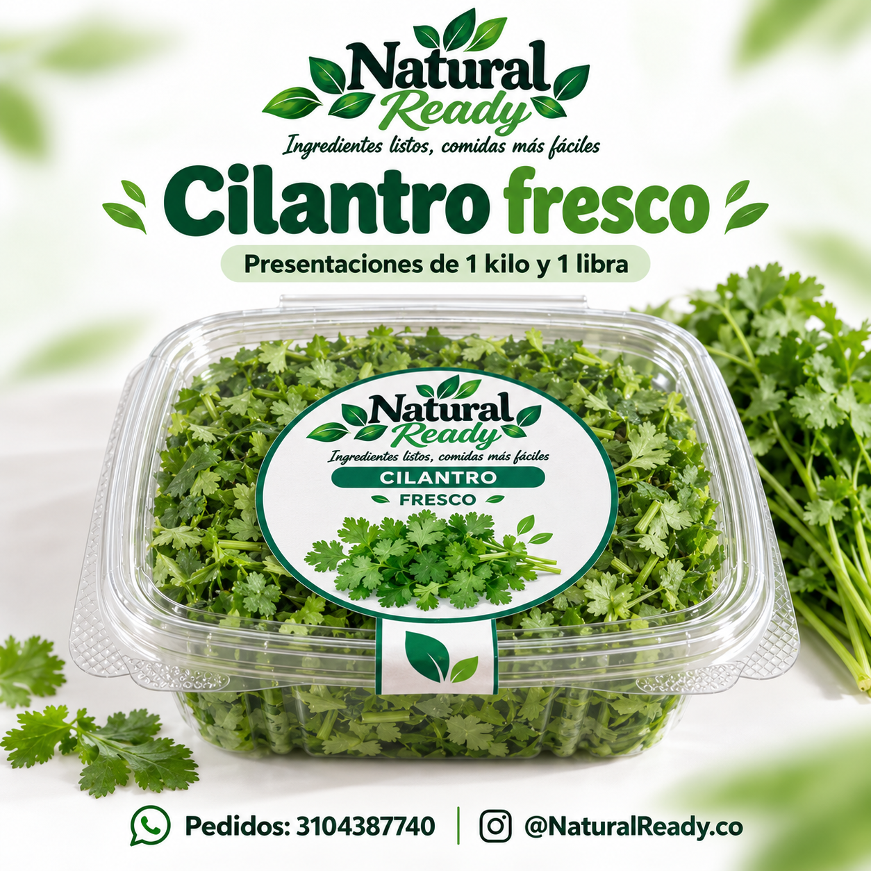 Cilantro picado, presentación Natural Ready