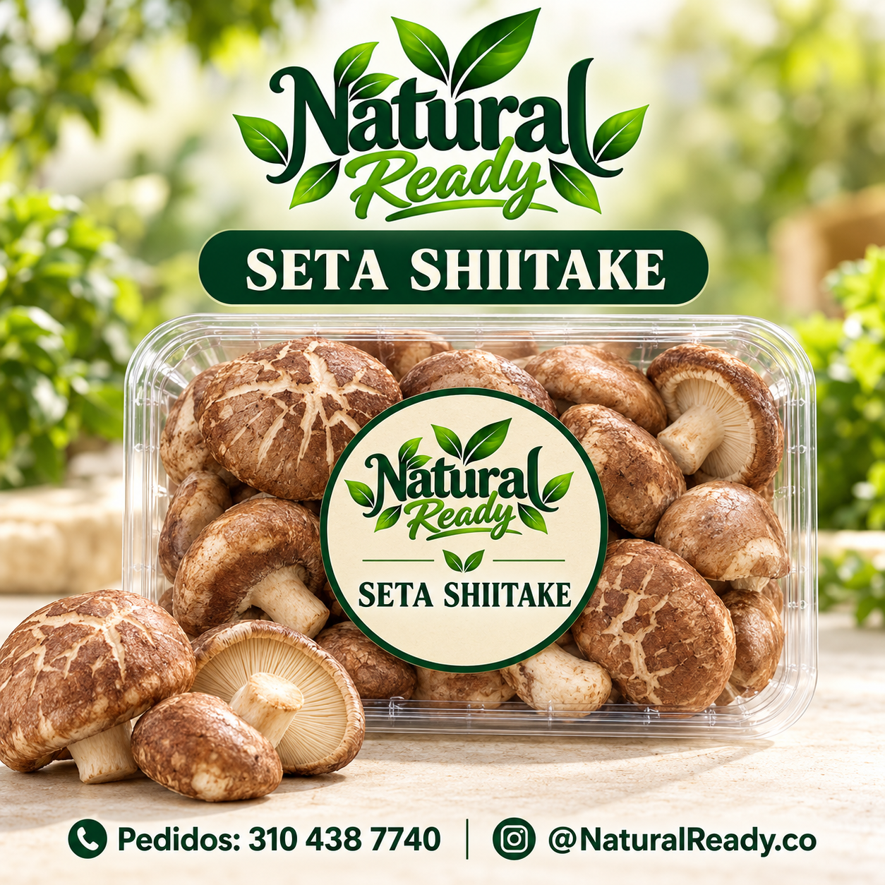 Seta shiitake consulta presentación, presentación Natural Ready